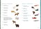 The Field Guide to Embroidery: 52 North American Animal and Plant Designs for Nature Lovers